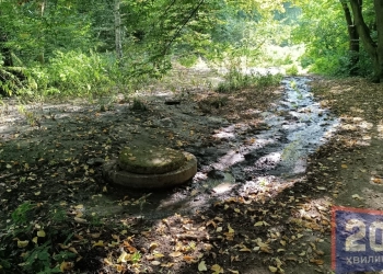 Каналізація затопила частину парку «Загребелля» в Вернополі: в чому причина