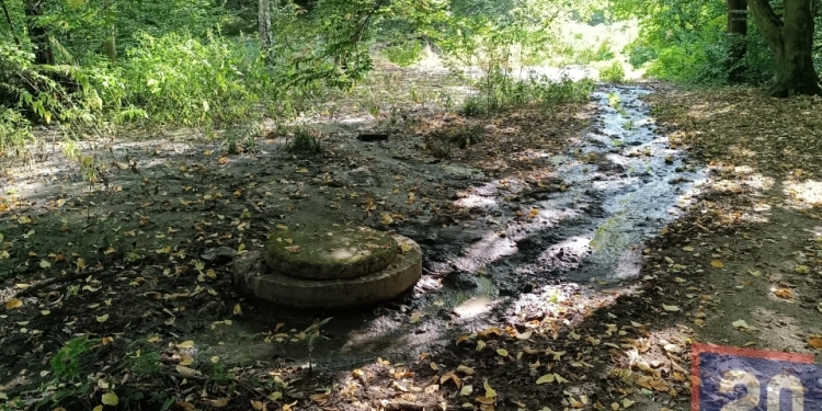 Каналізація затопила частину парку «Загребелля» в Вернополі: в чому причина