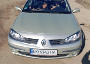 Дружина мера Підгаєць на Тернопільщині потрапила в скандал через використання авто міської ради