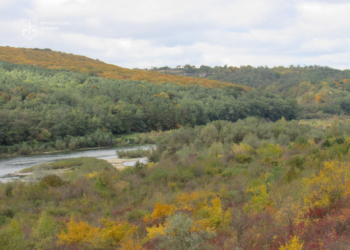 Дністровський каньйон