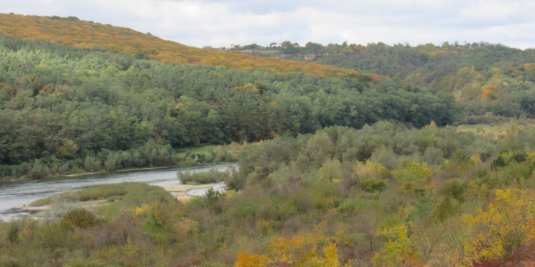 Дністровський каньйон