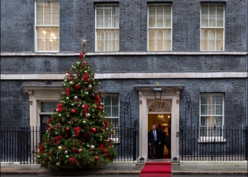 Укрaїнський символ із Тернополя прикрaсив різдвяну ялинку біля резиденції прем’єрa Бритaнії