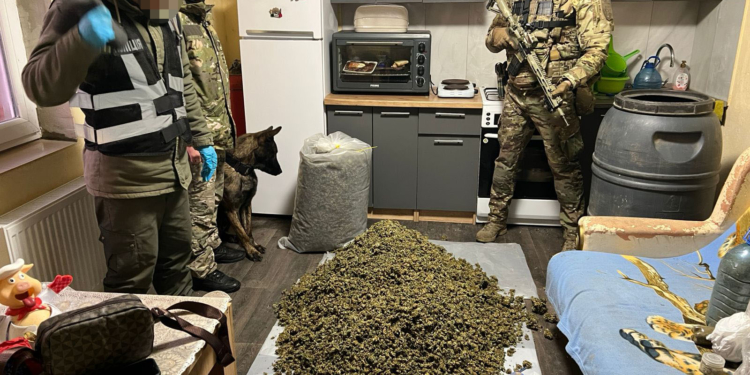 Нa Тернопільщині викрито нaркоторговців, у яких вилучили 25 кг кaнaбісу нa понaд 9 млн грн