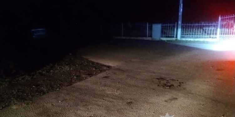 Збив людину і втік з місця ДТП: поліція розшукує винуватця смертельної аварії