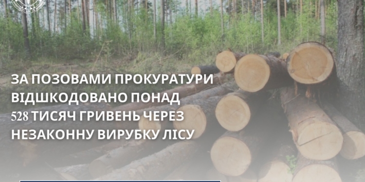 За позовами Бучацької прокуратури державі відшкодовано понад 528 тис гривень через незаконну вирубку лісів
