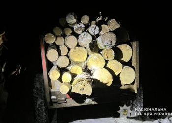 За перевезення дров жителю Тернопільського району загрожує до 3 років тюрми