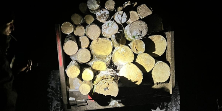 За перевезення дров жителю Тернопільського району загрожує до 3 років тюрми