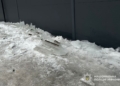 У Бережанах внаслідок падіння льодяної брили травмувалася 8-річна дитина