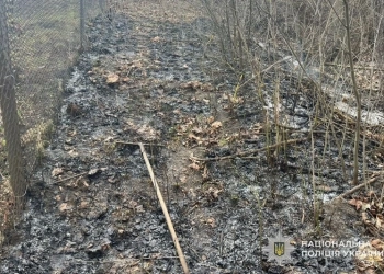 спалювання трави