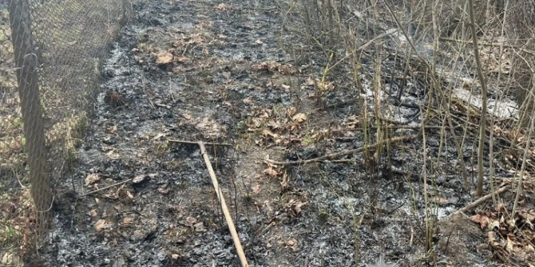 спалювання трави